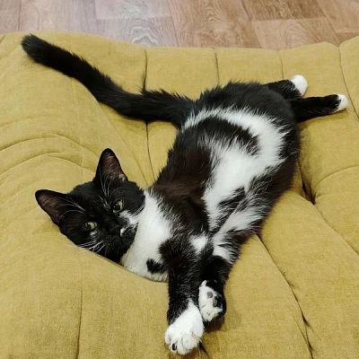 Изготовление бескаркасной мебели на заказ. Фото результата и отзыв клиента с оценкой 5/5.